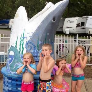 Meet your Posher, Dawn